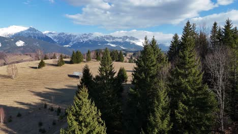 Un-Bosque-Sereno-Con-Montañas-Nevadas-Al-Fondo-En-Un-Día-Soleado,-Vista-Aérea