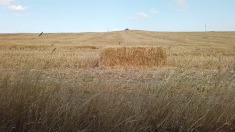 alone square straw bale in the field