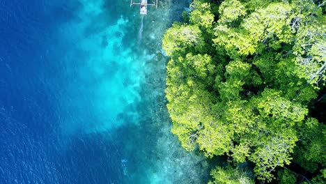 young man ocean gliding with a subwing in raja ampat indonesia island shore, aerial top view tracking shot