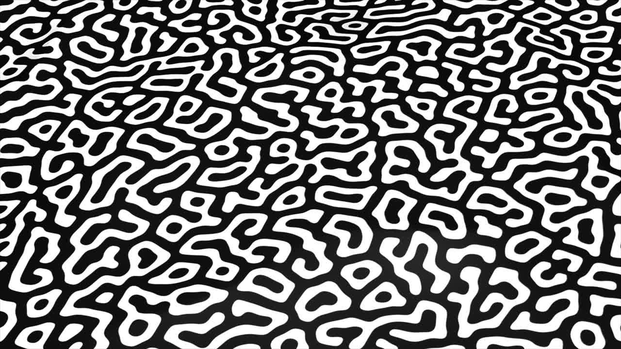 Abstract Black and White Organic Pattern