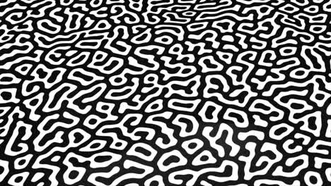 patrón orgánico abstracto en blanco y negro