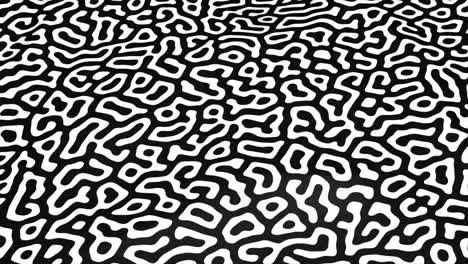 abstract black and white organic pattern