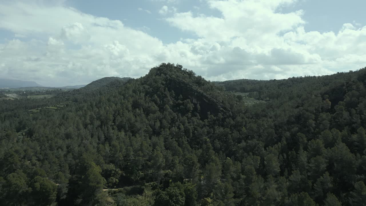 Verdant woodland blanketing mountain peak in catalonia, revealing lush green landscape under moody clouded sky with breathtaking aerial perspective