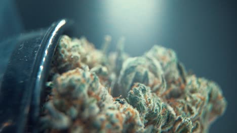 A-vertical-macro-epic-detailed-shot-of-a-cannabis-plant,-hybrid-orange-strains,-green-leaf-Indica-,marijuana-flower,-on-a-360-rotating-stand,-Full-HD,-super-slow-motion,-120-fps,-studio-lighting