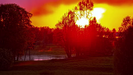 timelapse sol y nubes moviéndose rápidamente detrás de los árboles en la naturaleza