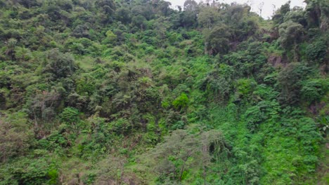materuni waterfall is one of the waterfalls in the mware river in tanzania