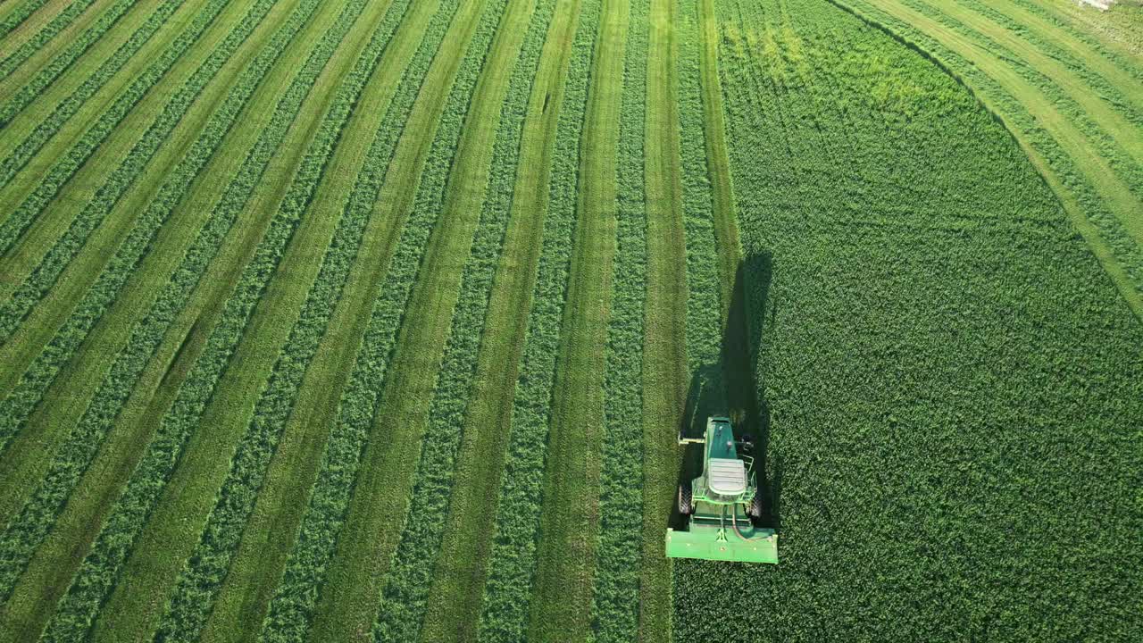 en door county, wisconsin, un agricultor en un tractor john deere, corta su campo de alfalfa a finales de agosto-17