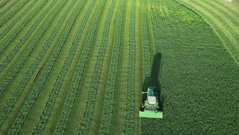 En-Door-County,-Wisconsin,-Un-Agricultor-En-Un-Tractor-John-Deere,-Corta-Su-Campo-De-Alfalfa-A-Fines-De-Agosto-17