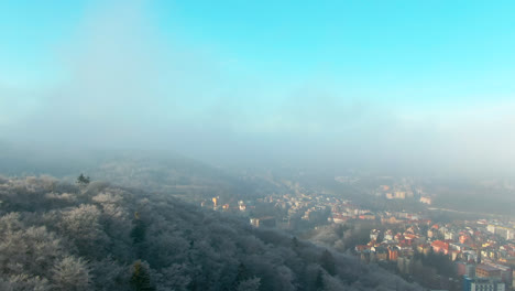 Vista-Aérea-Del-Bosque-De-Pinos-En-La-Fría-Mañana-De-Invierno-Con-La-Luz-Del-Sol-Cálida-Temprana-Ciudad-Europea