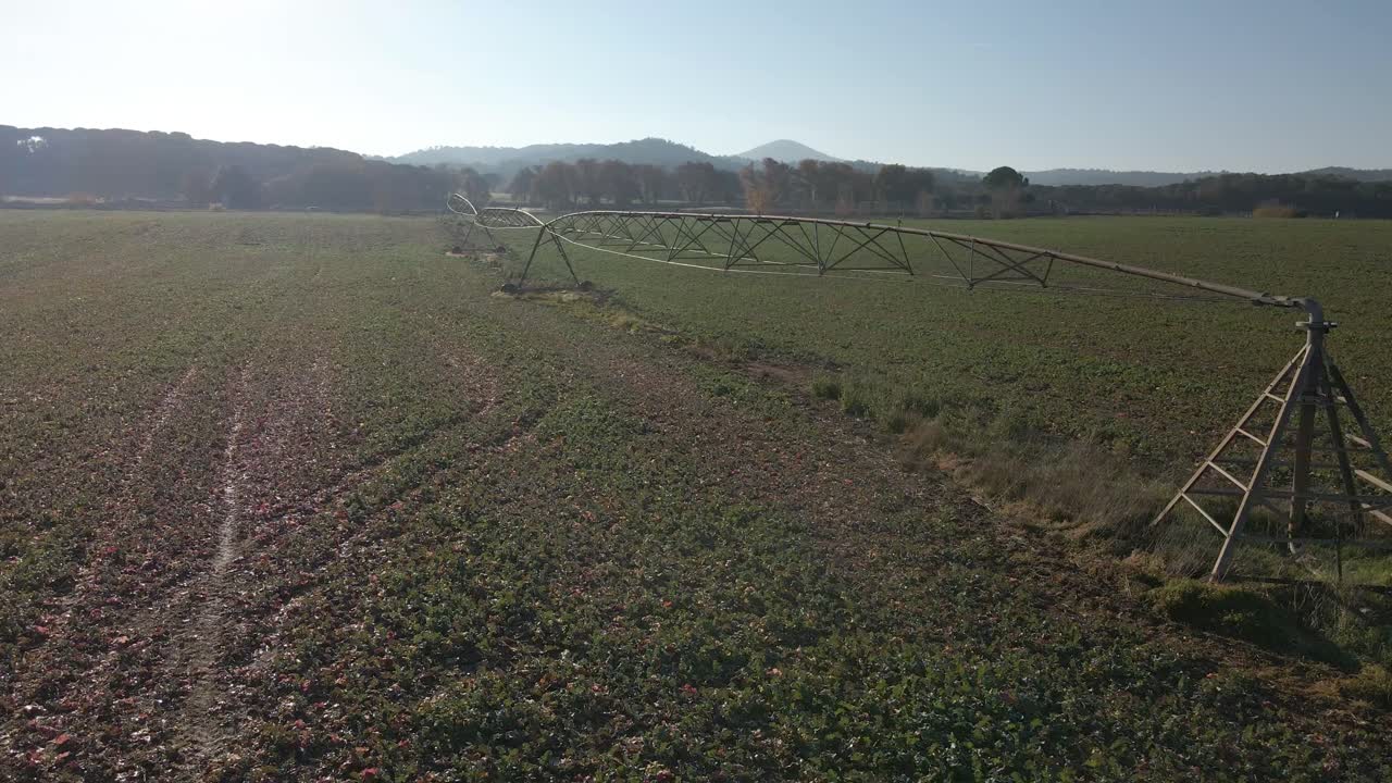 Irrigation system in newly sown field aerial video with drone