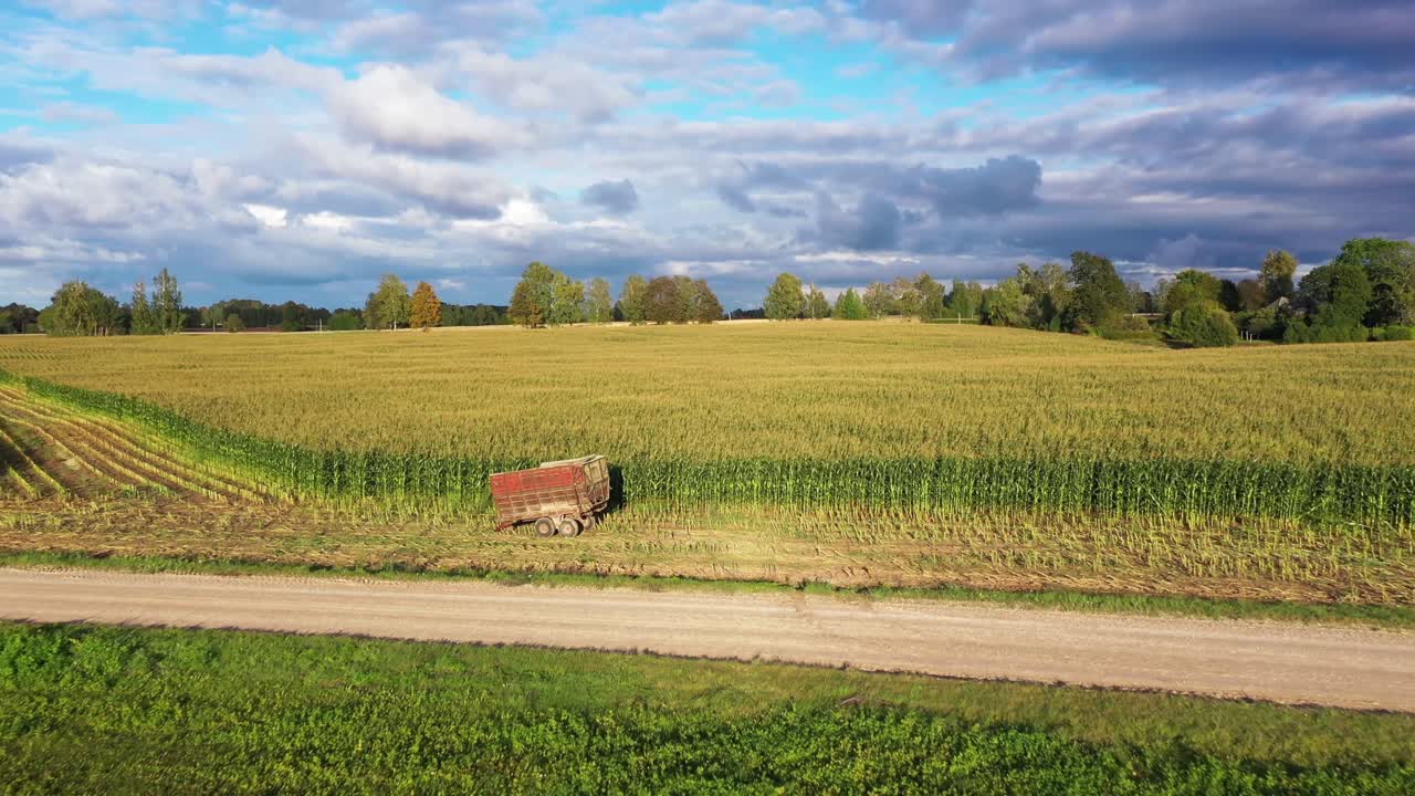 Corn field and tractor trailer