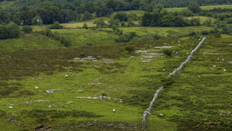 Zeitraffer-Der-Ländlichen-Landwirtschaftlichen-Naturlandschaft-Während-Des-Tages-In-Irland