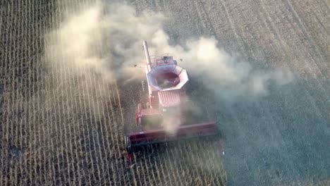 Red-combine-harvesting-beans-in-farmers-field-near-sundown-in-the-Midwest-USA