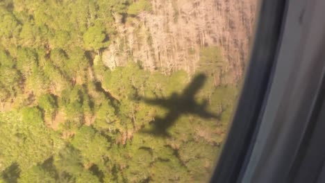 shadow of jet on ground flying over trees