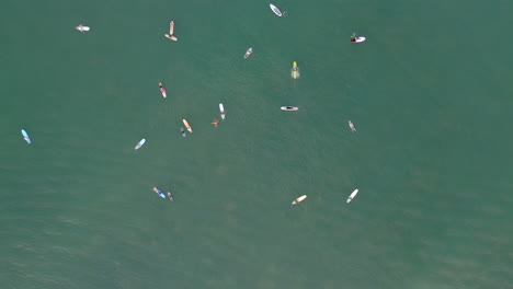 vista de arriba hacia abajo de los surfistas esperando en el océano una ola para montar