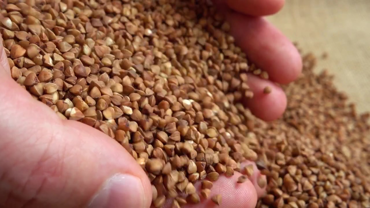 Der Bauer nimmt Buchweizen aus den Säcken. Zeitlupe