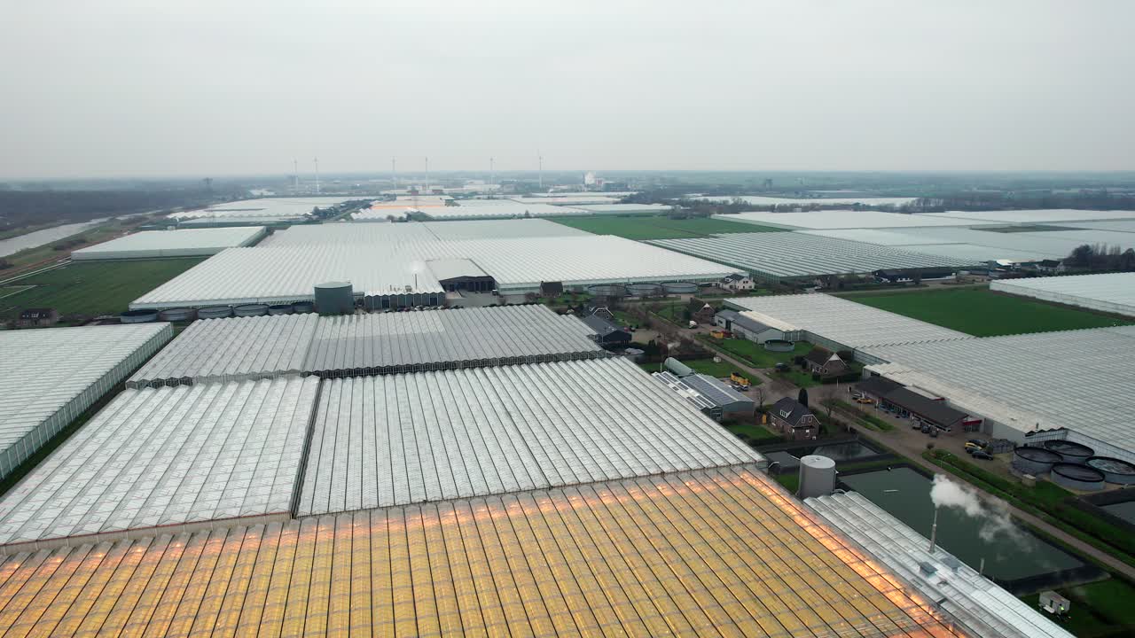 네덜란드 풍경 전체에 대형 상업용 온실의 트럭 운송 샷