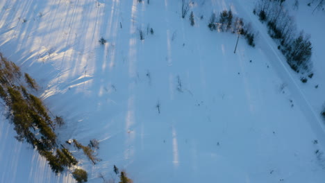 Aerial-view-tilting-up-above-vast-Scandinavian-snow-covered-forested-mountain-landscape-under-sunrise-skyline