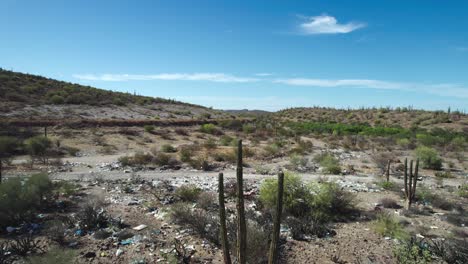 una vista de basura y cactus cardón en el desierto de mulege, baja california sur, méxico - fotografía aérea de un dron