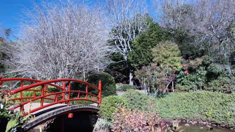 close shot of red bridge, ju raku en japanese garden, toowoomba australia