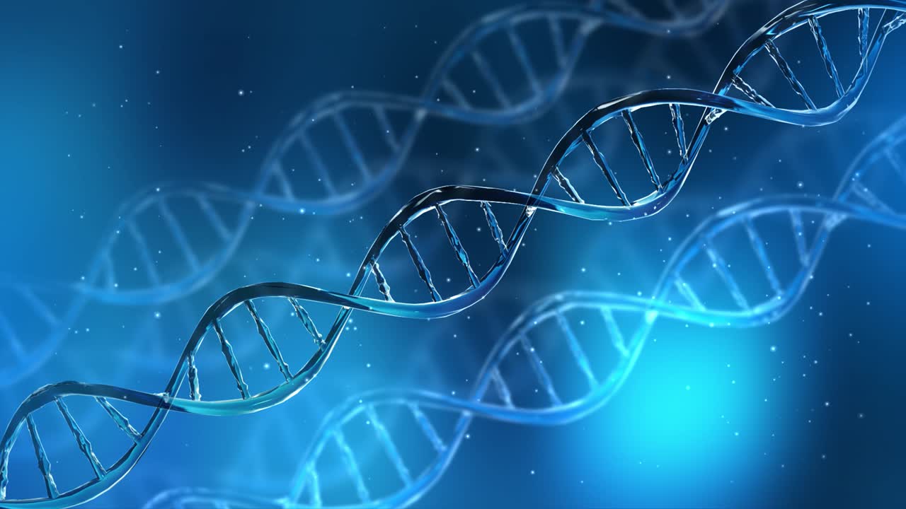 wireframe las moléculas de adn la estructura de la malla en el fondo de bucle azul suave 4k.