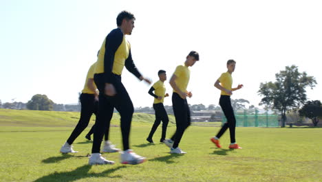running on field, cricket players in yellow shirts training for match