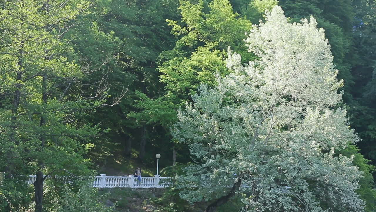 Lovers enjoy each other. Happy couple spending time together in park