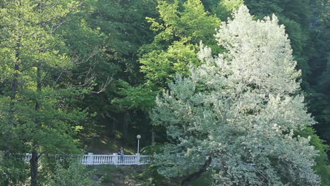lovers enjoy each other. happy couple spending time together in park