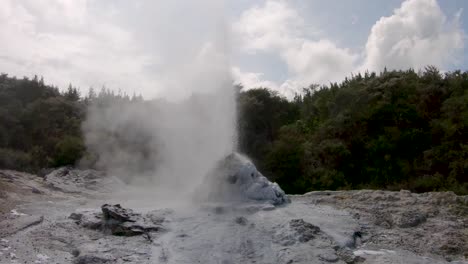 Ausbrechender-Lady-Knox-Geysir-In-Rotoroa,-Neuseeland