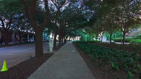 walking along a sidewalk next to discovery green in houston with trees