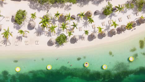 drone top down static view of nearly empty beach with swimmers, stunning clear water, and palm tree shadows