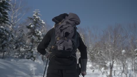 a hiker with a backpack walks through the snowy forest in hokkaido, japan