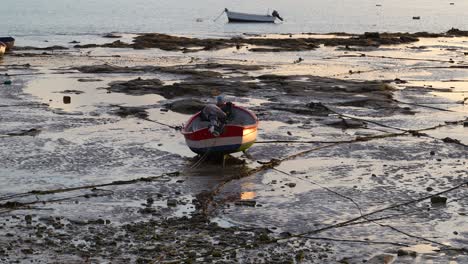 solo barco varado en tierra durante la marea baja al atardecer