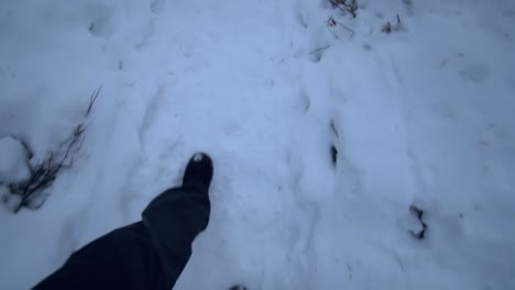 walking in boots on a snowy road in a forest