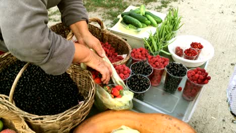 el vendedor local pone a la venta las bayas en el mercado callejero de la aldea.