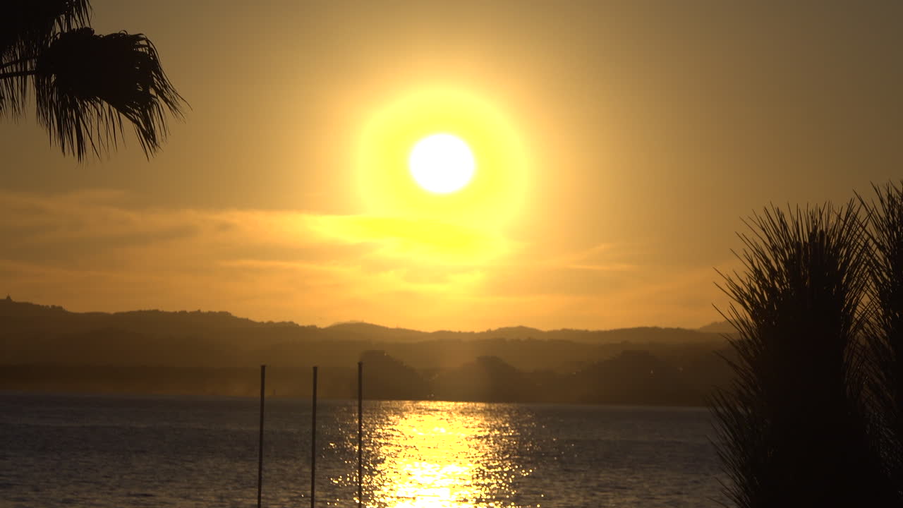 View of palm trees on the beach with the sunset reflecting on the sea
