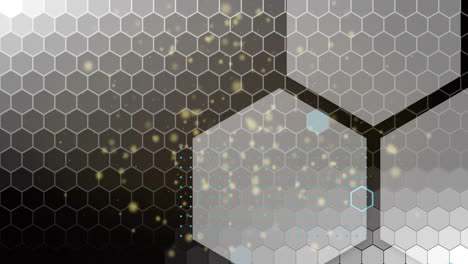 animation of white hexagons over light spots