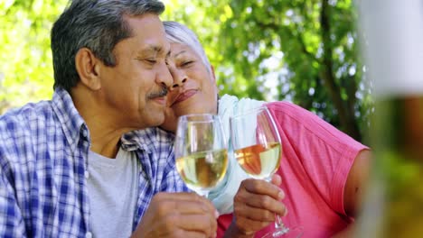 senior couple kissing while drinking wine