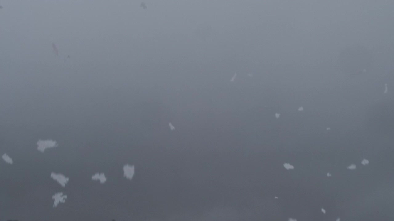 Snow fragments float and fall through gray winter air in atmospheric slow motion