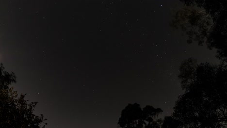 Scudding-clouds-pass-over-a-classic,-stunning-Queenland-nighlapse-framed-by-gumtrees