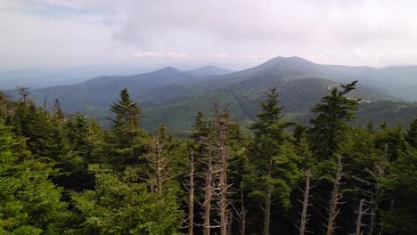 Antenne-über-Baumwipfeln,-Die-In-Richtung-Black-Mountain-NC,-North-Carolina,-Fliegen