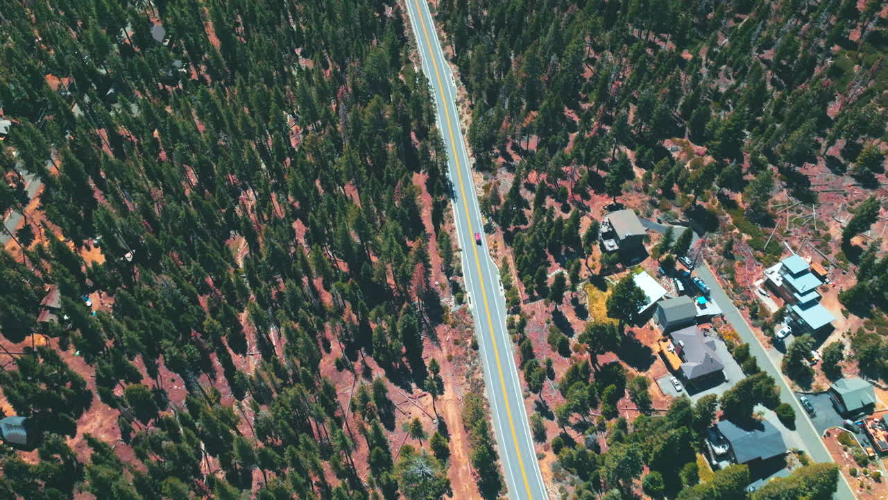 Motorway through the pine tree forest. Flying over the wooded territory with some cottages among the trees.