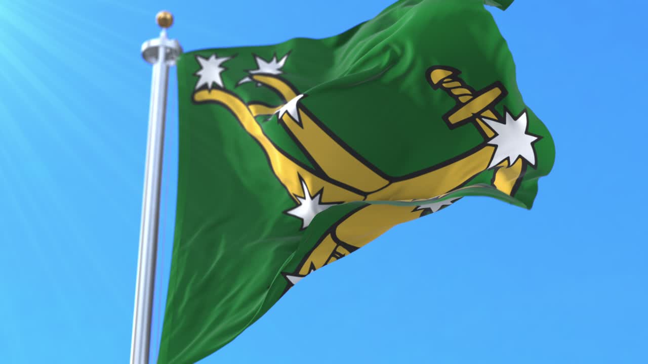 la bandera del arado estrellado original del ejército ciudadano irlandés.