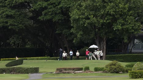 people strolling through a green park with umbrellas.