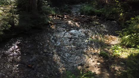 mountain river shot on the dji osmo pocket