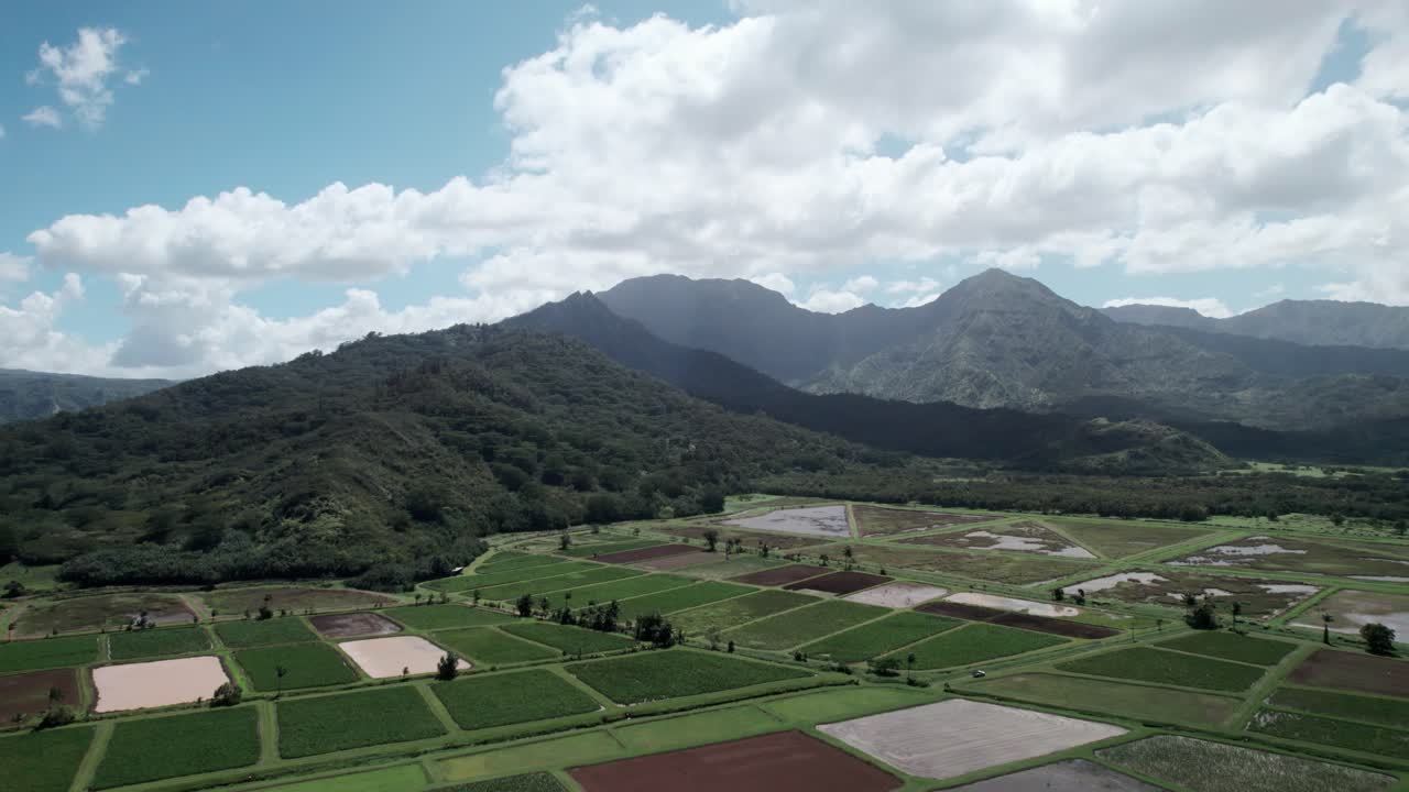nubes blancas esponjosas se deslizan sobre exuberantes montañas tropicales y fértiles campos de taro, princeville, kauai, antena