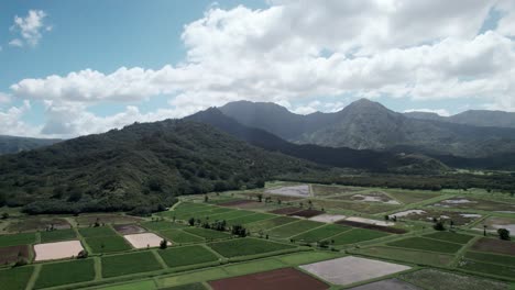Fluffy-white-clouds-drift-above-lush-tropical-mountains-and-fertile-taro-fields,-Princeville,-Kauai,-aerial