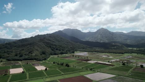 Nubes-Blancas-Esponjosas-Se-Deslizan-Sobre-Exuberantes-Montañas-Tropicales-Y-Fértiles-Campos-De-Taro,-Princeville,-Kauai,-Antena