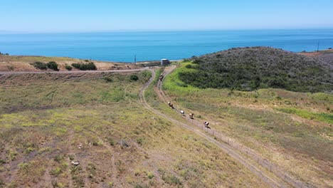 Antenne-Von-Pferden,-Die-Auf-Einer-Ranch-Oder-Einem-Bauernhof-Mit-Ozeanhintergrund-In-Der-Nähe-Von-Santa-Barbara,-Kalifornien,-Weiden-Lassen