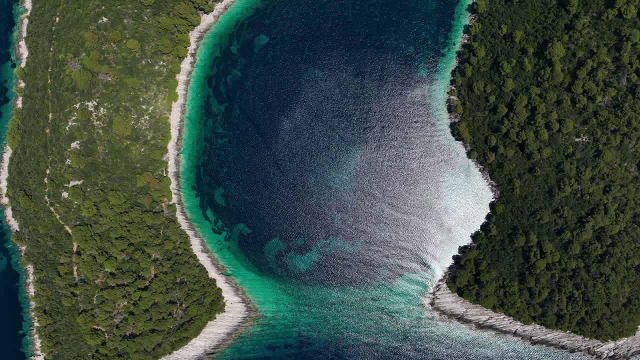 Aerial top-down view of Mljet island’s coast showcasing clear blue waters and lush green forests